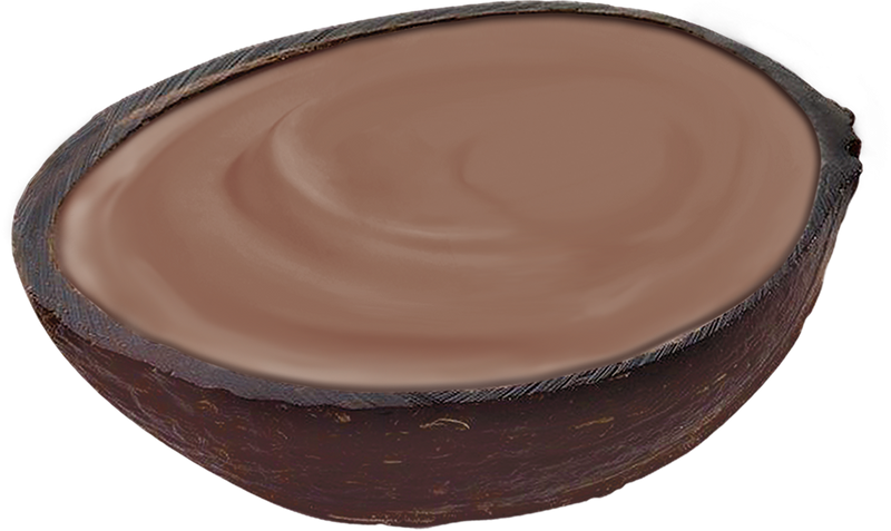 Chocolate Coconut