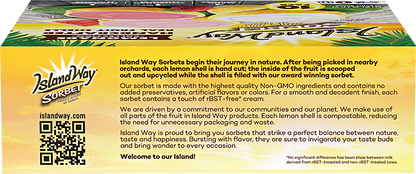 Island Way Sorbet:  Lemonade Variety 10-Pack