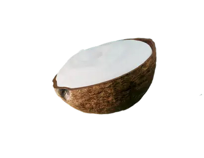 Coconut shape