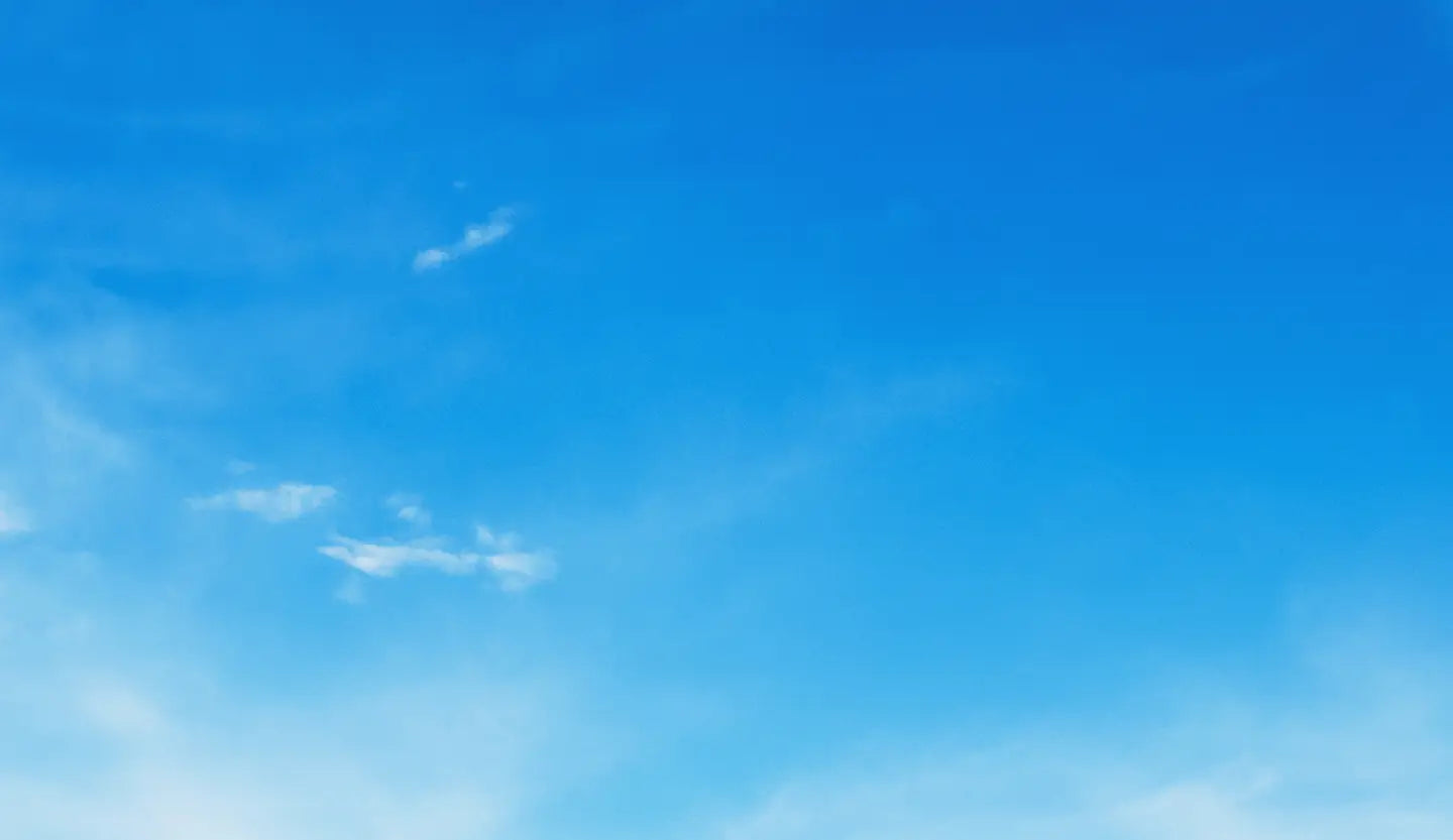 PARADISE IN EVERY BITE